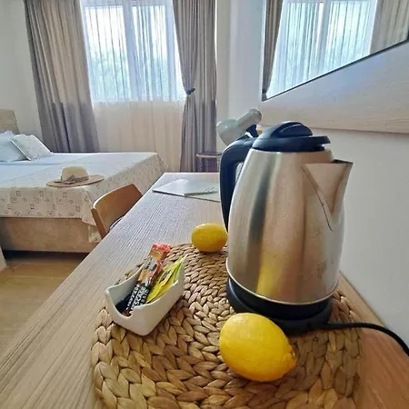 Effect Saint Mina Hotel 2*