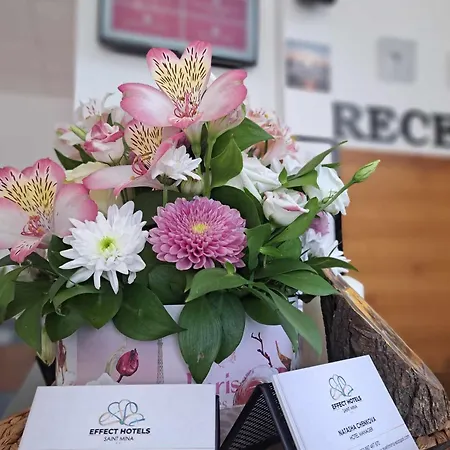 Effect Saint Mina 2*