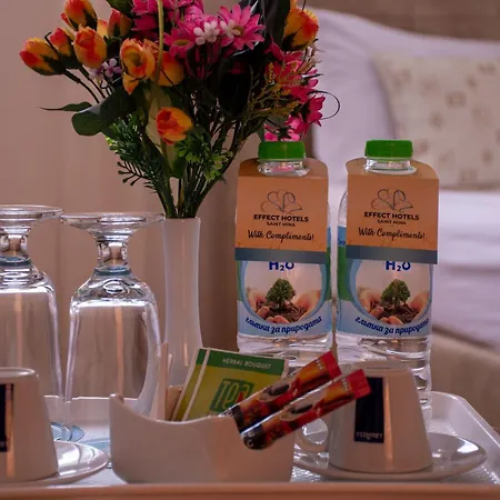 Hotel Effect Saint Mina 2*