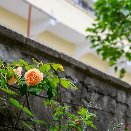 Hotel Effect Saint Mina Sozopol