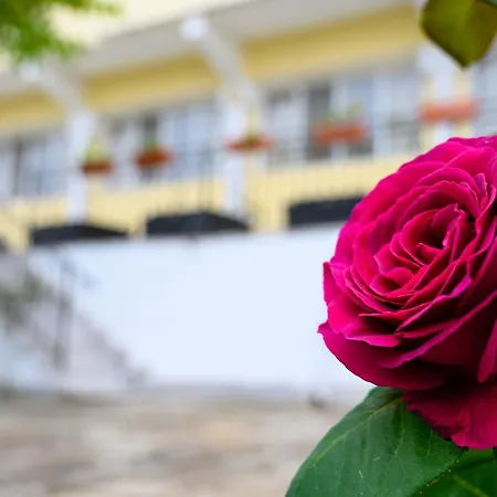 Hotel Effect Saint Mina 2*