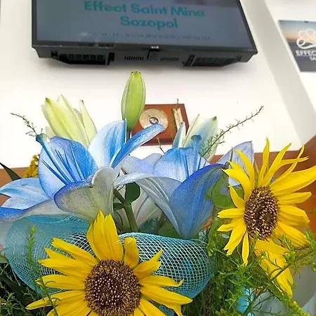 Effect Saint Mina - Self Check-in Sozopol