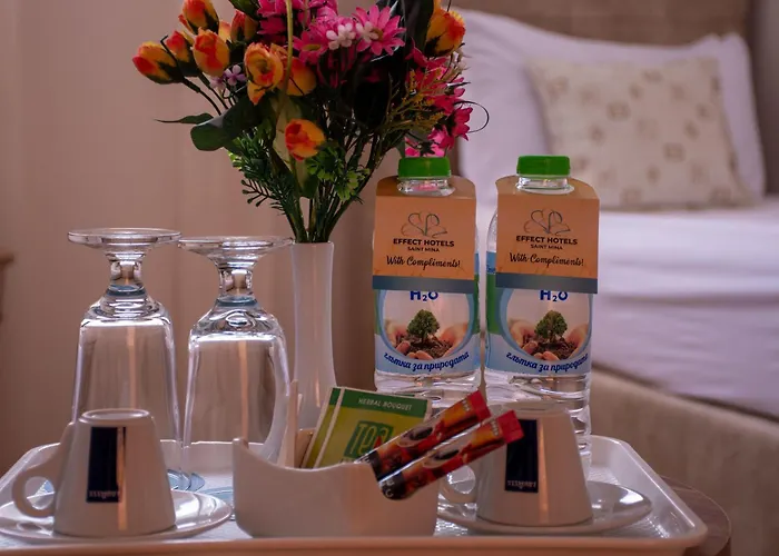 Hotel Effect Saint Mina 2*