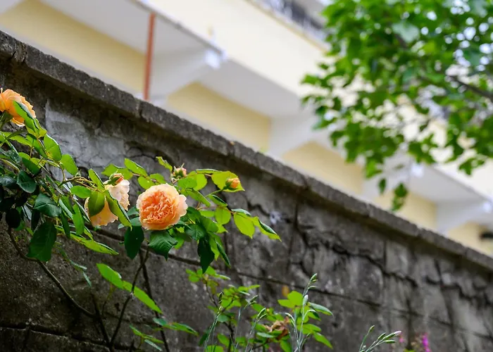 Hotel Effect Saint Mina Sozopol